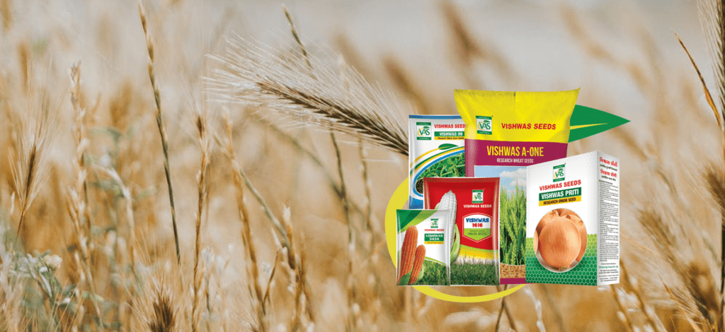 Vishwas Agri Seeds Limited IPO Review