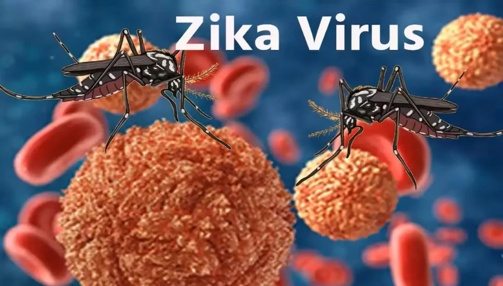 Zika virus